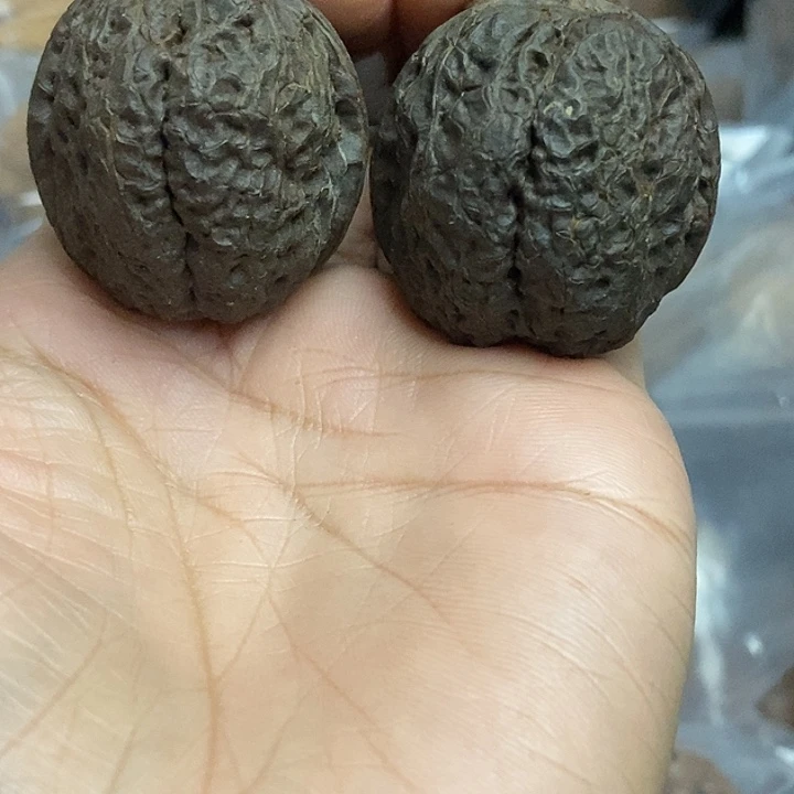 文玩核桃把件云南铁核桃基地81