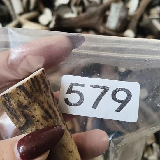 。***铭鹿角鹿角鹿角鹿角鹿角鹿角鹿角鹿角鹿角