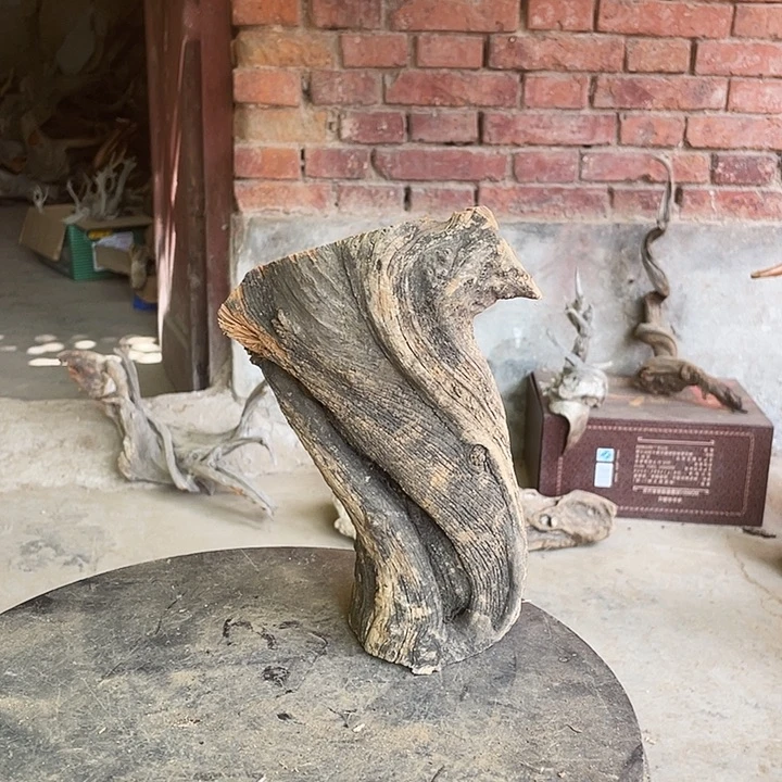 柏木成****部崖柏崖柏雅吧