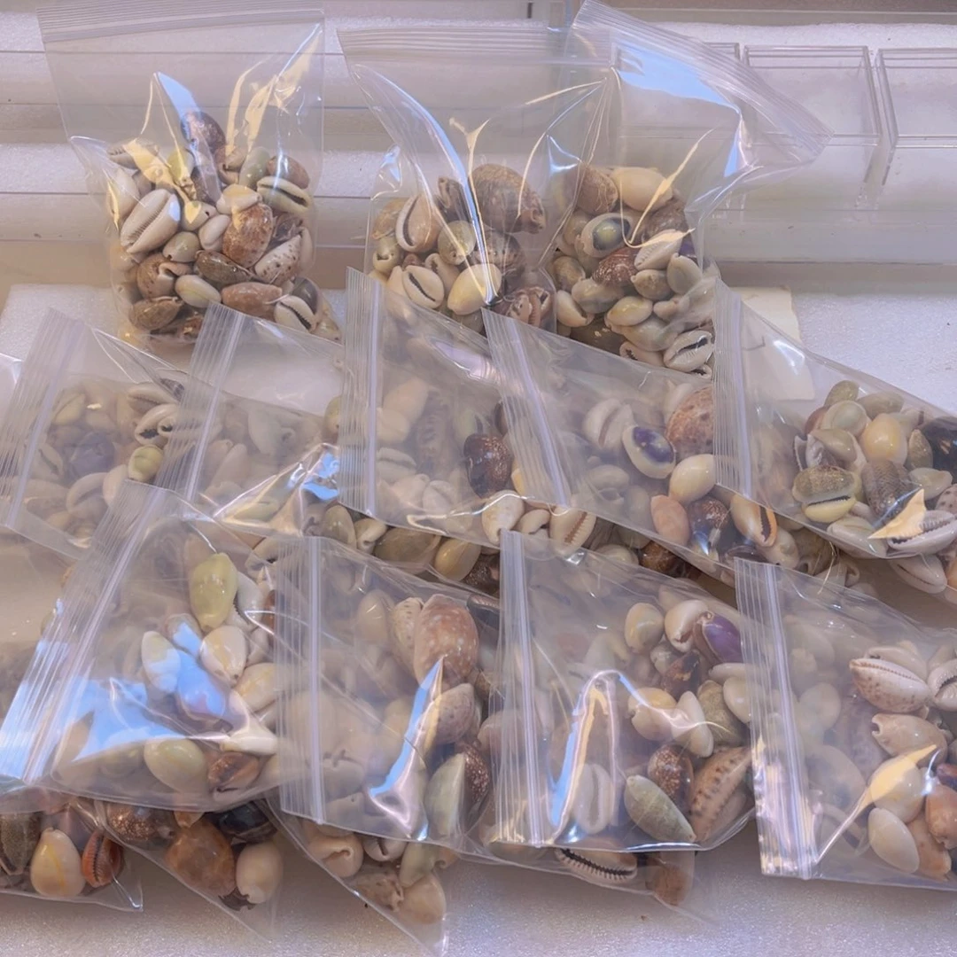 一***鱼有机玻璃宝螺半袋9.9