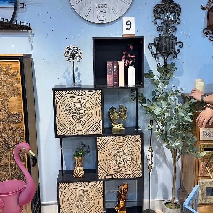 有机玻璃铁木柜子