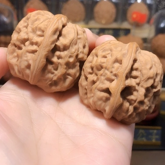 福利款：平谷大尺霸王