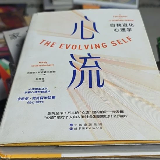 心流精装塑封库存书库存书微瑕