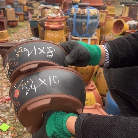 红陶紫砂花盆盆景盆栽