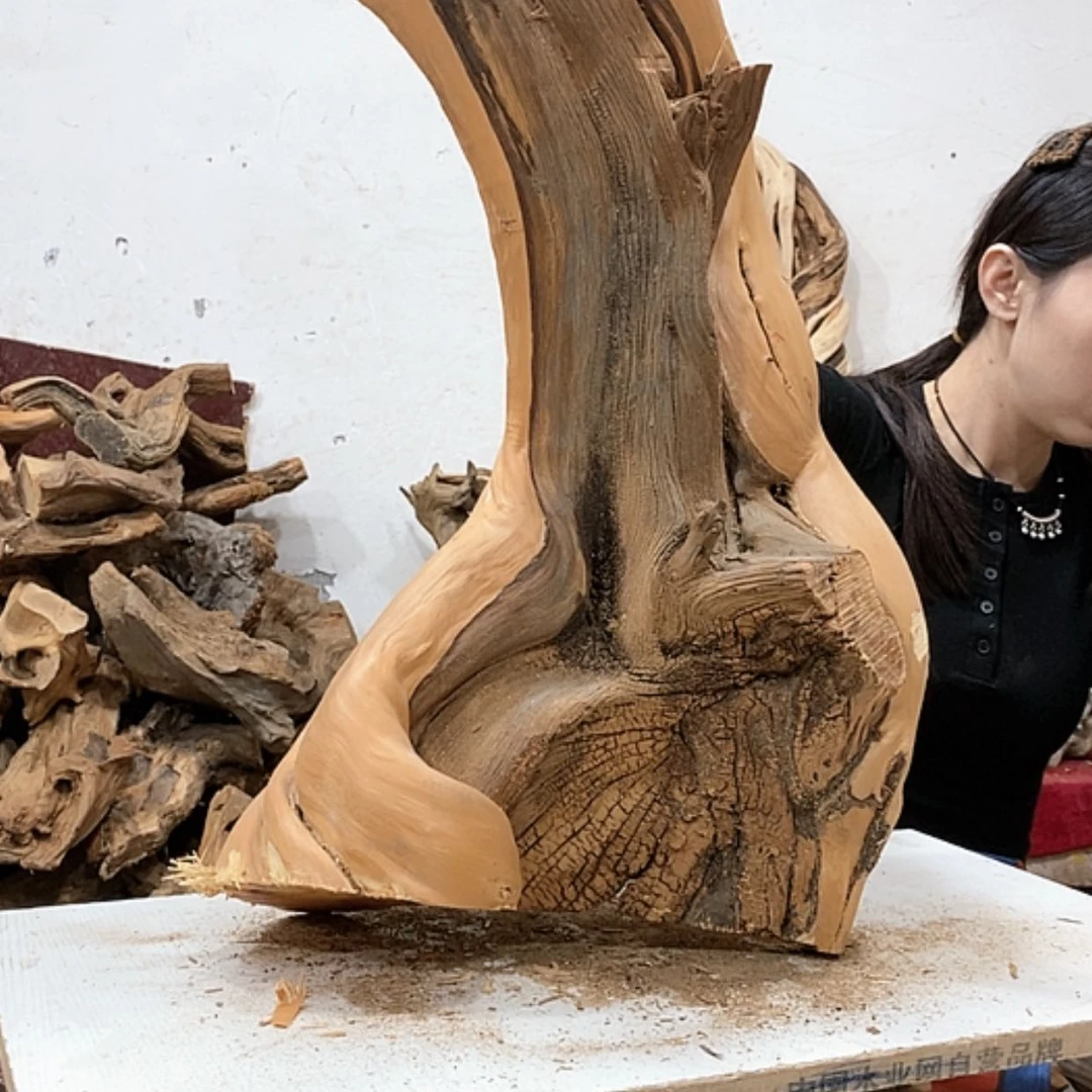 【闪购商品】柏木是****卡我们都是好孩子