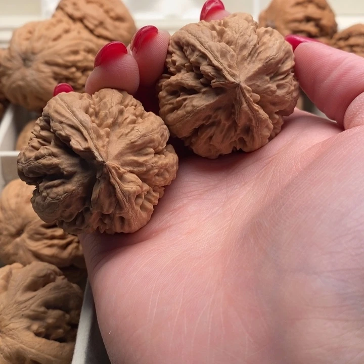 活***墩文玩核桃把件霸王龙