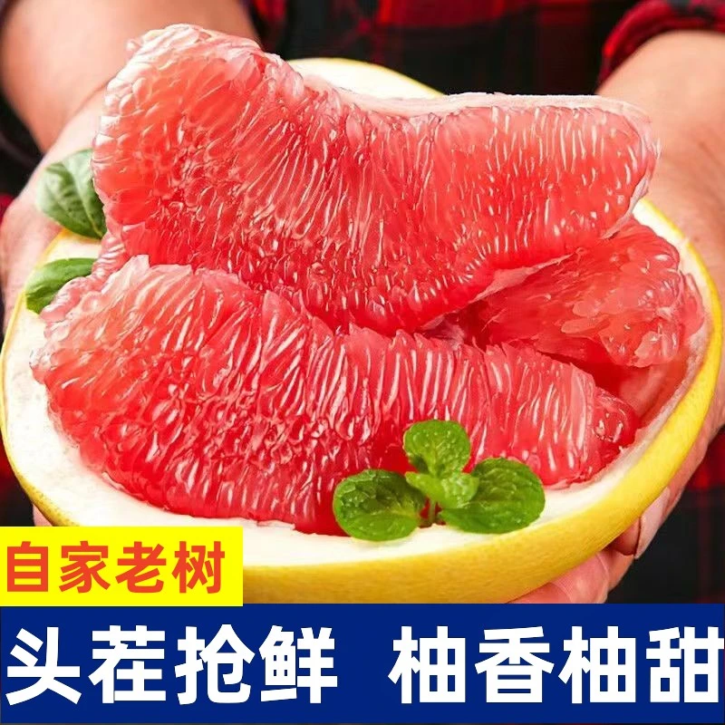 福建平和红心蜜柚当季新鲜时令水果现摘柚子5斤装 放几天口感更佳