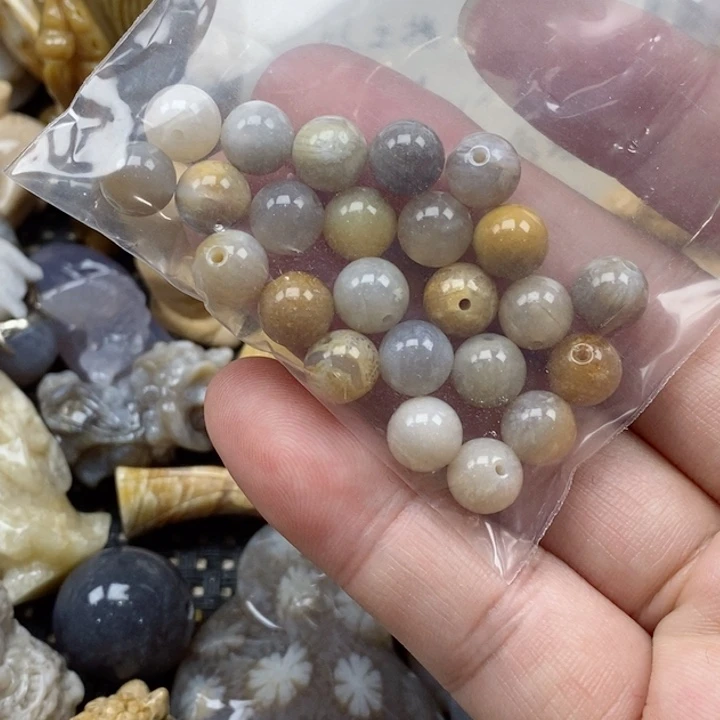 颈饰未镶嵌硅化珊瑚（珊瑚玉）