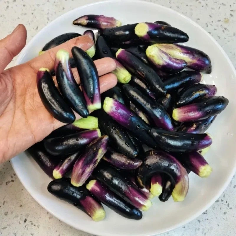 东北小紫茄子蒜茄子专用