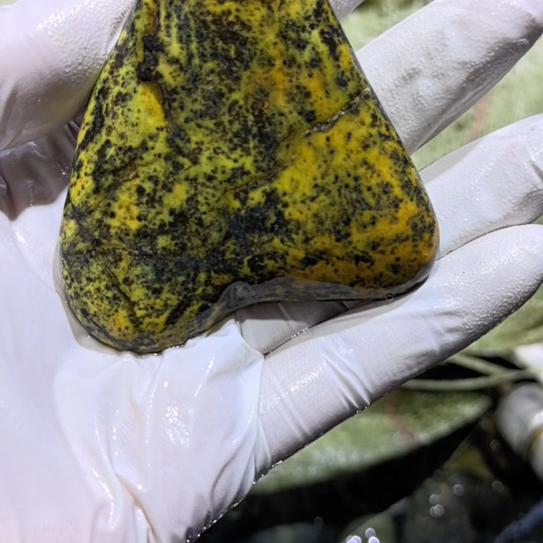 用***5藏玉药王石原石一个