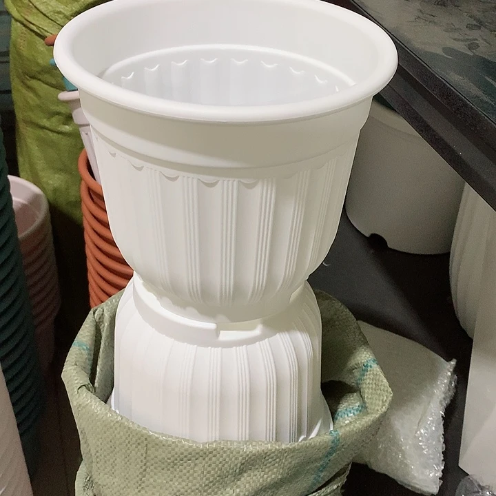 罗马口21白4个无托