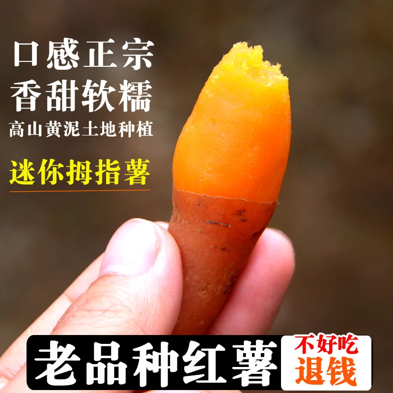 贵州紫云红心番薯地瓜迷你拇指板板栗高山红薯新鲜黄心小番薯