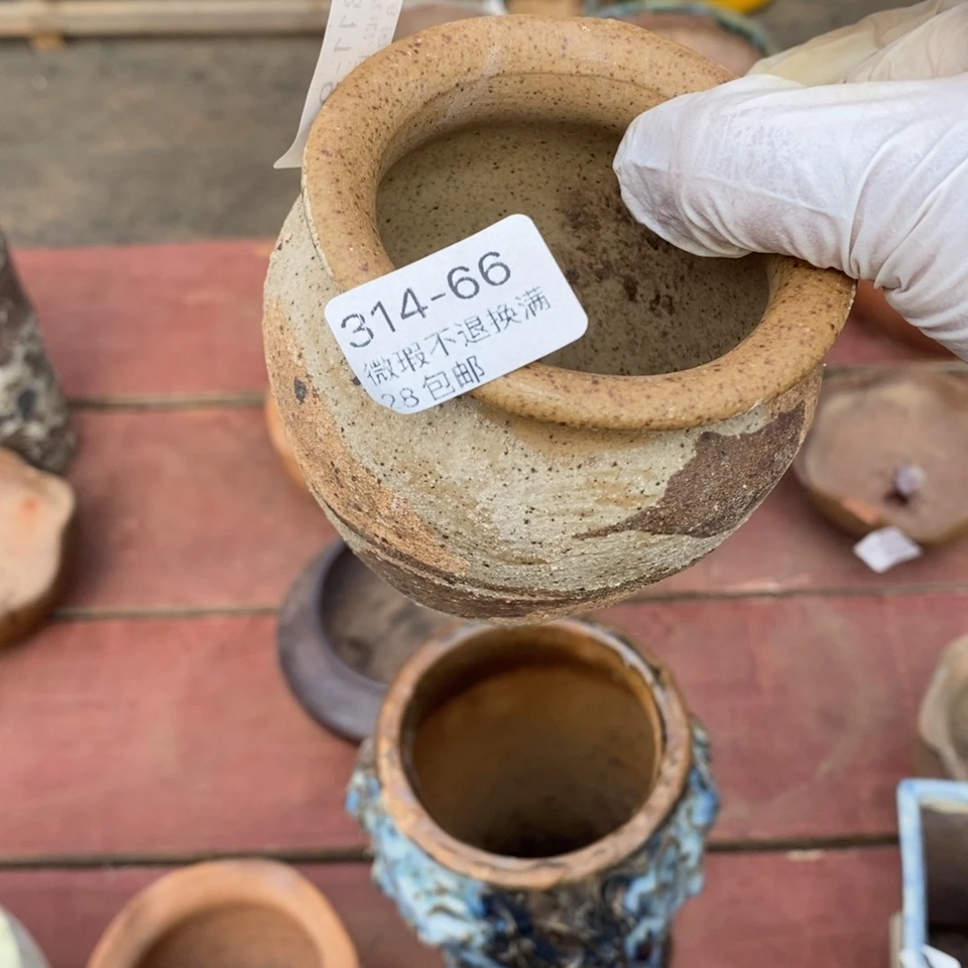 西**y66号多肉盆一个呀