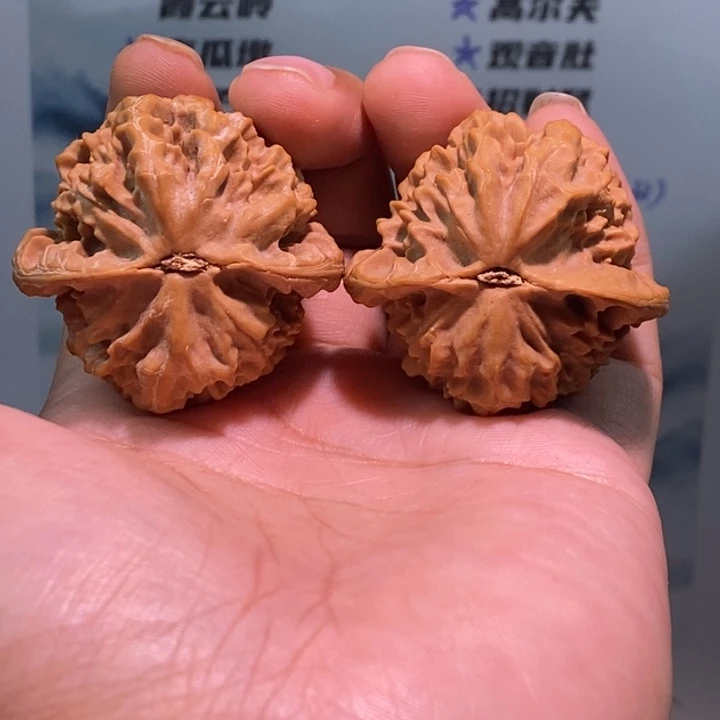 文玩核桃把件努****耿龙鳞
