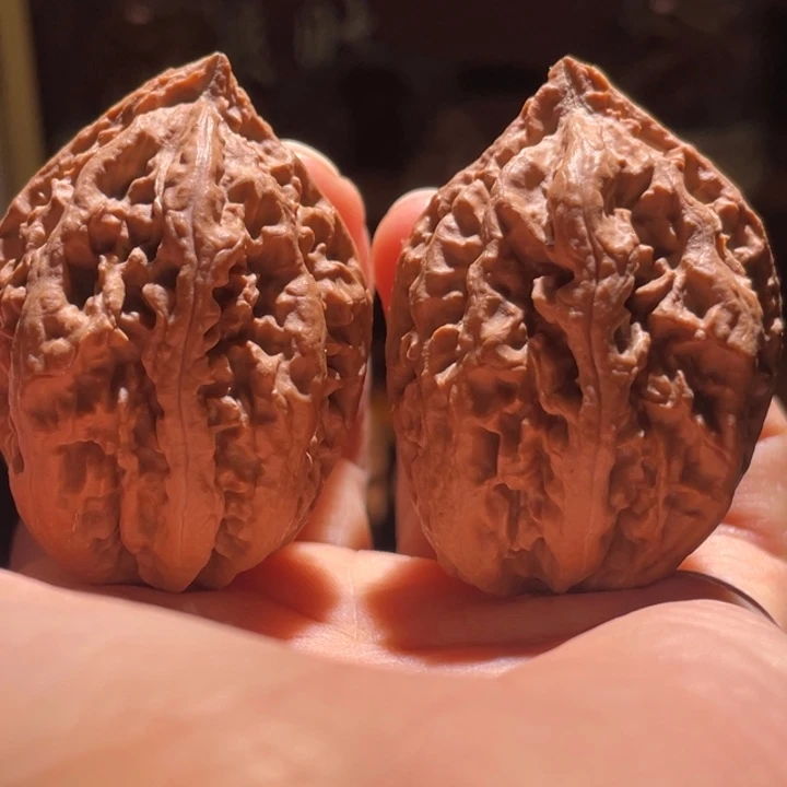 吊坠文玩核桃珊瑚菊花底3