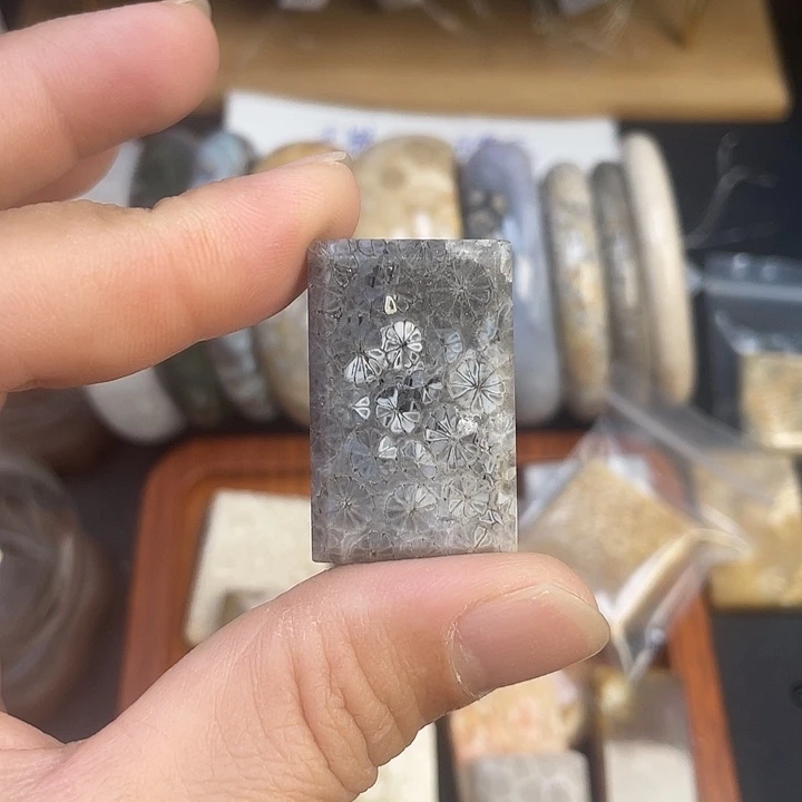 硅化珊瑚（珊瑚玉）未镶嵌手镯