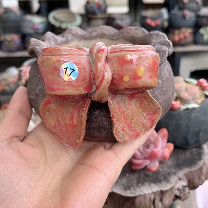 陶这个世界上最爱的人