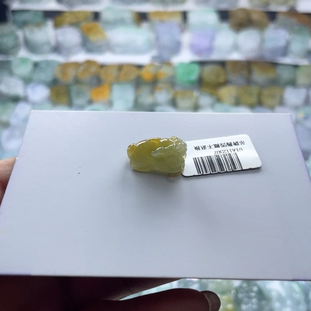 翡翠未镶嵌颈饰貔貅