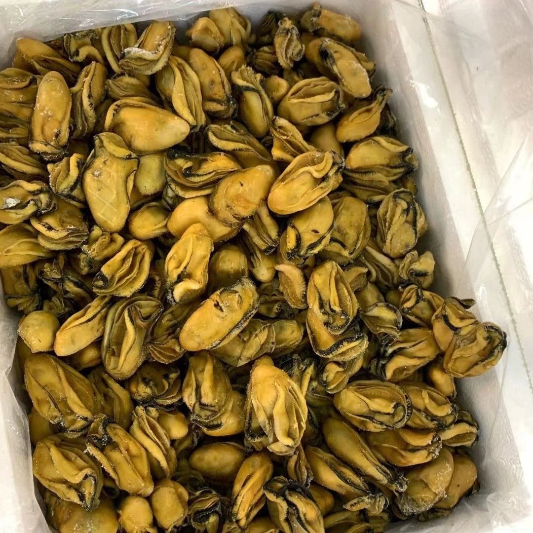 【晒场直发】80-100头金蚝干海蛎干生晒约6成干香煎焖猪手猪脚干货