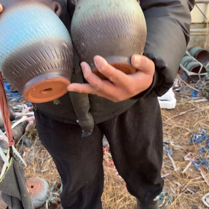 红陶口径 高度 花盆15 20