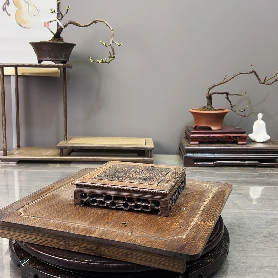 爆***完完全开放梅花落在地上的时候