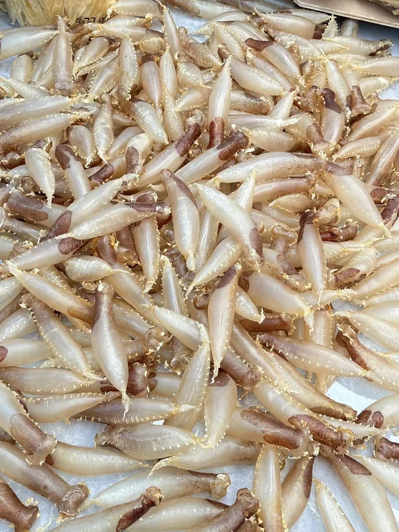 本港刺花 赤嘴筒母鱼胶12头 花胶 干货 广东汕头