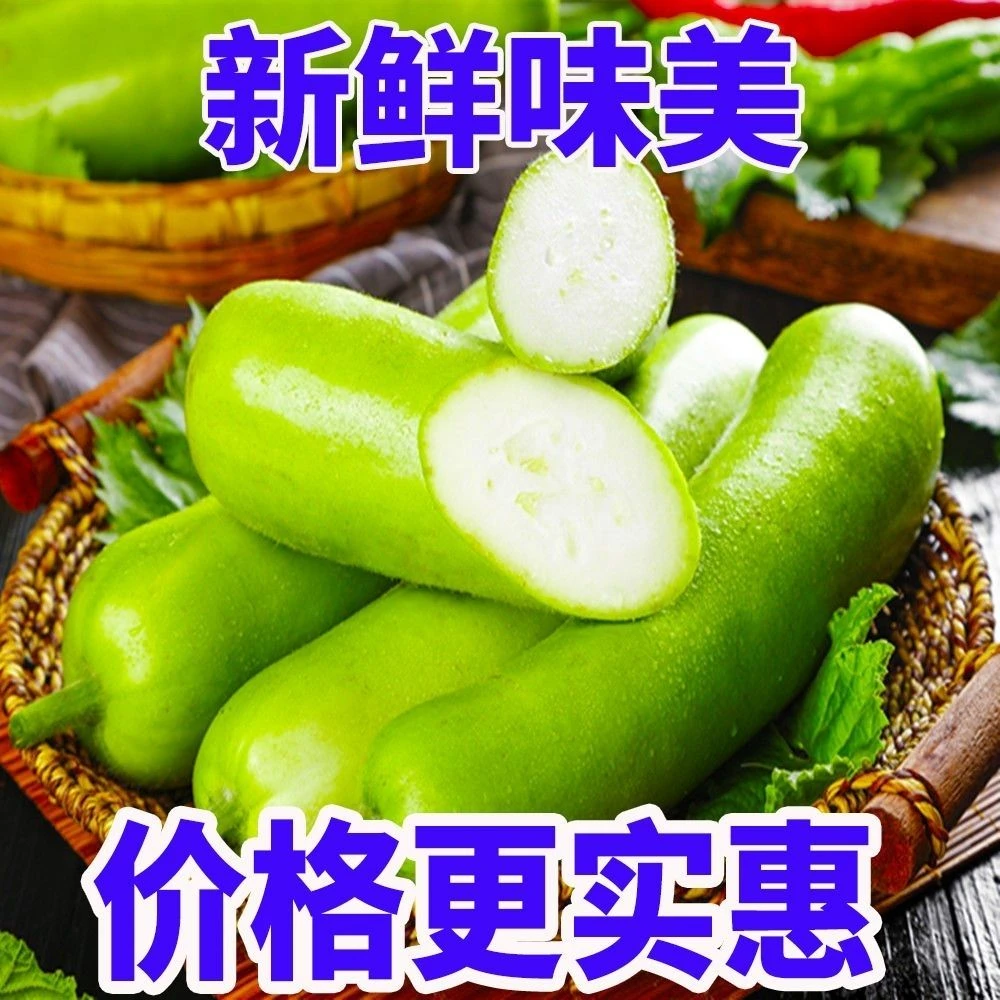 广东当季蒲瓜新鲜瓠子瓜夜开花农家自种瓠瓜葫芦瓜现摘原生态春季