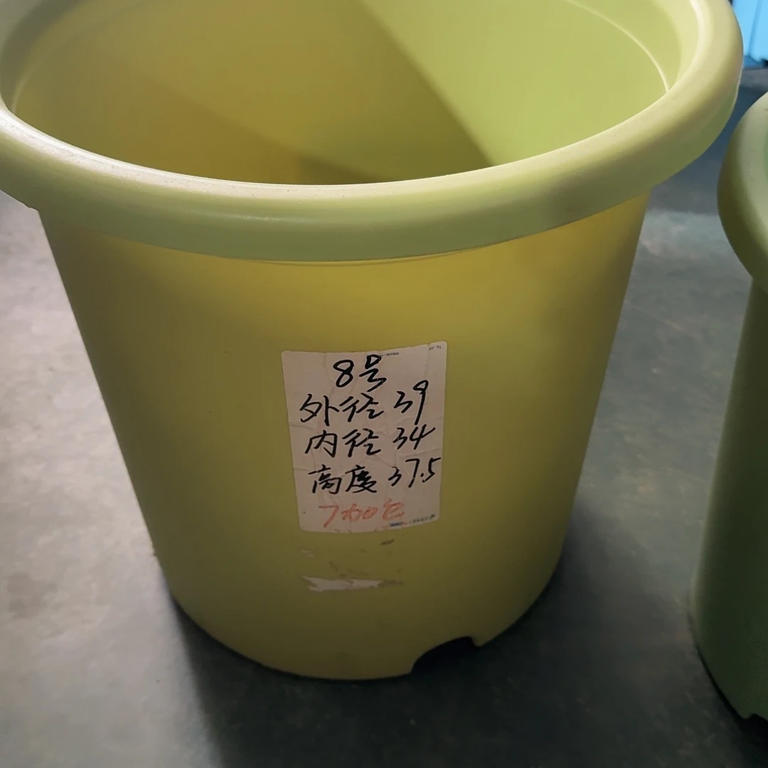 微瑕8号果绿无拖5个