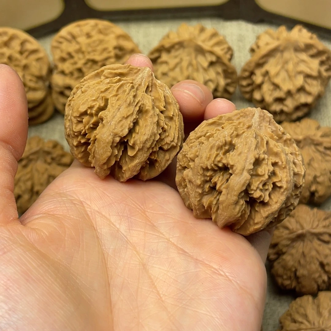 z***i核桃秦岭核桃19号