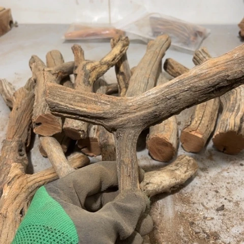 大果紫檀（缅甸花梨）夏*