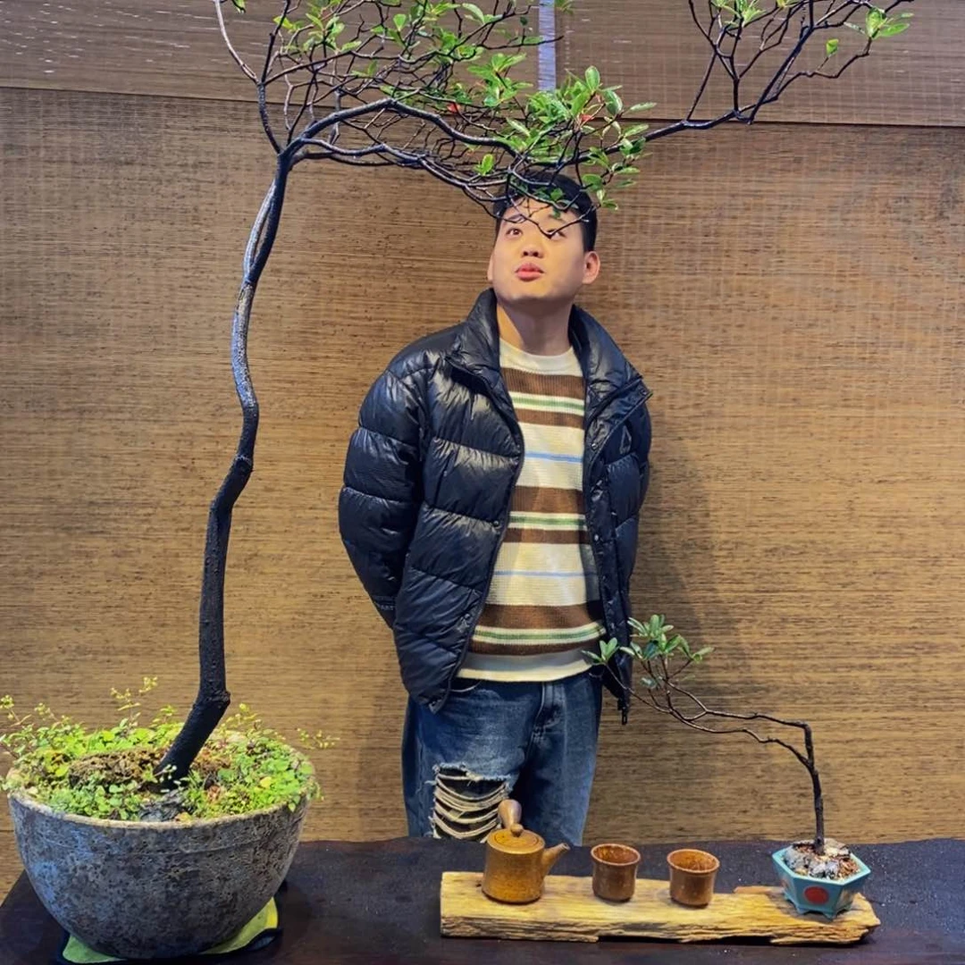 盆景日**星盆景园艺1234