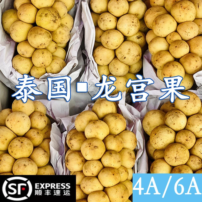 【泰国空运】进口新鲜龙宫果椰色果当季稀有热带水果酸甜嫩奇葩水果