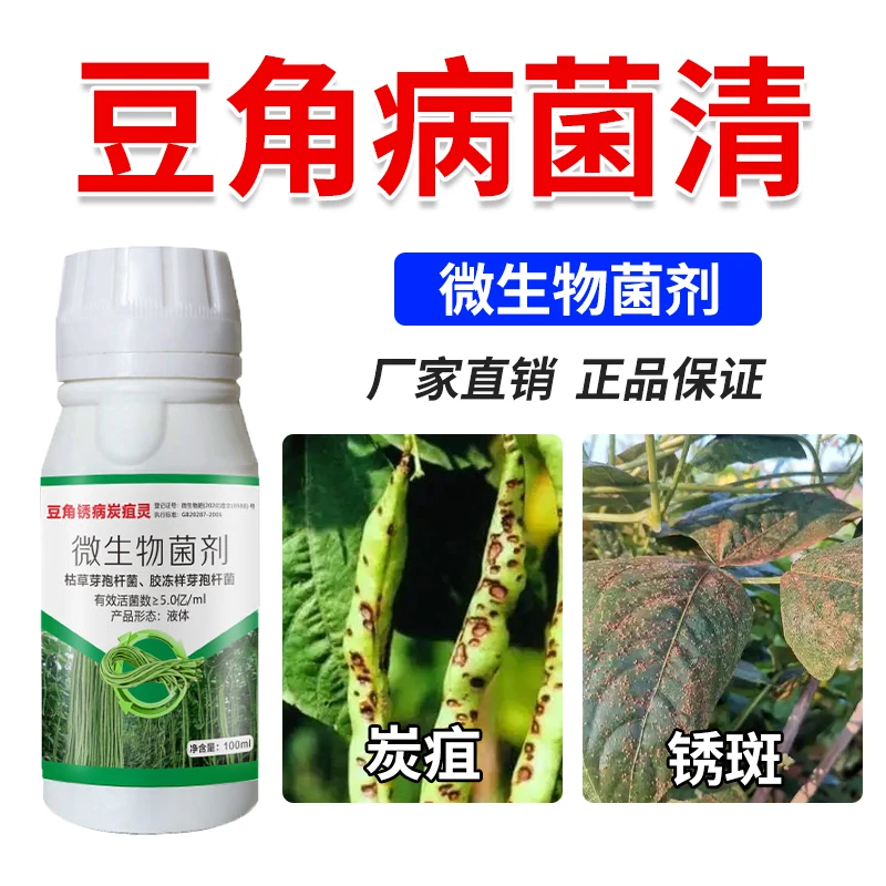 豆角专用病菌清厂家直销豆角锈斑炭疽黄叶叶斑灰霉根腐微生物菌剂