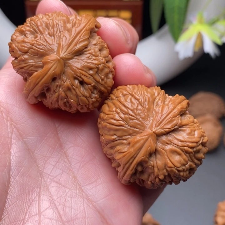 文玩核桃把件白狮子38