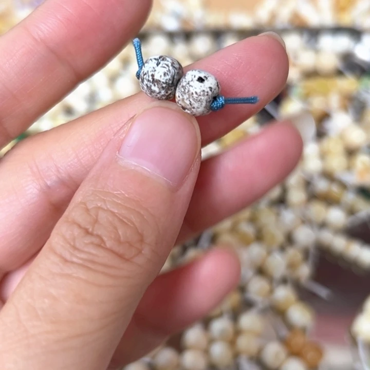 裸石蜜蜡未镶嵌7.5mm一对
