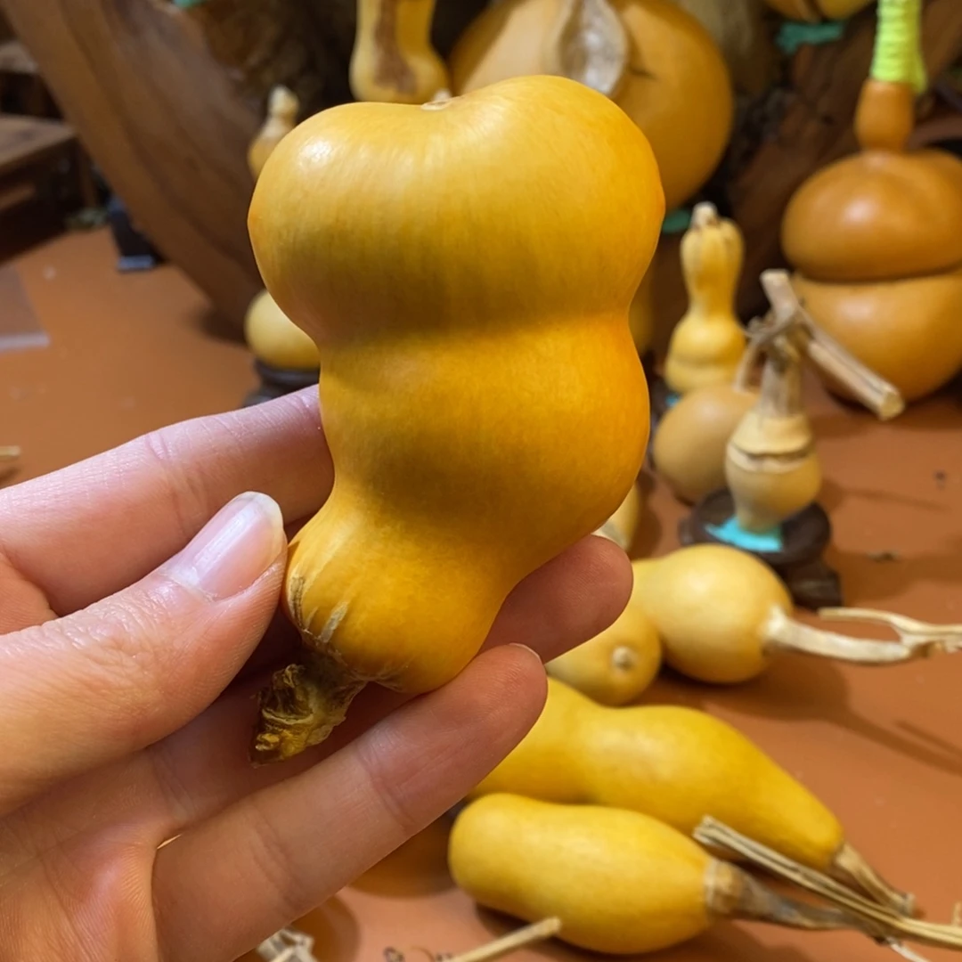 教练教练教练来咯哦哦