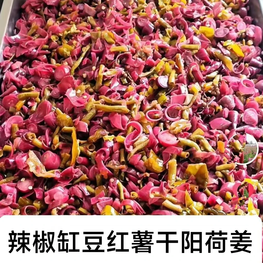 阳菏姜下饭菜河南信阳新县农家特产私房腌菜红阳姜农家自制泡菜