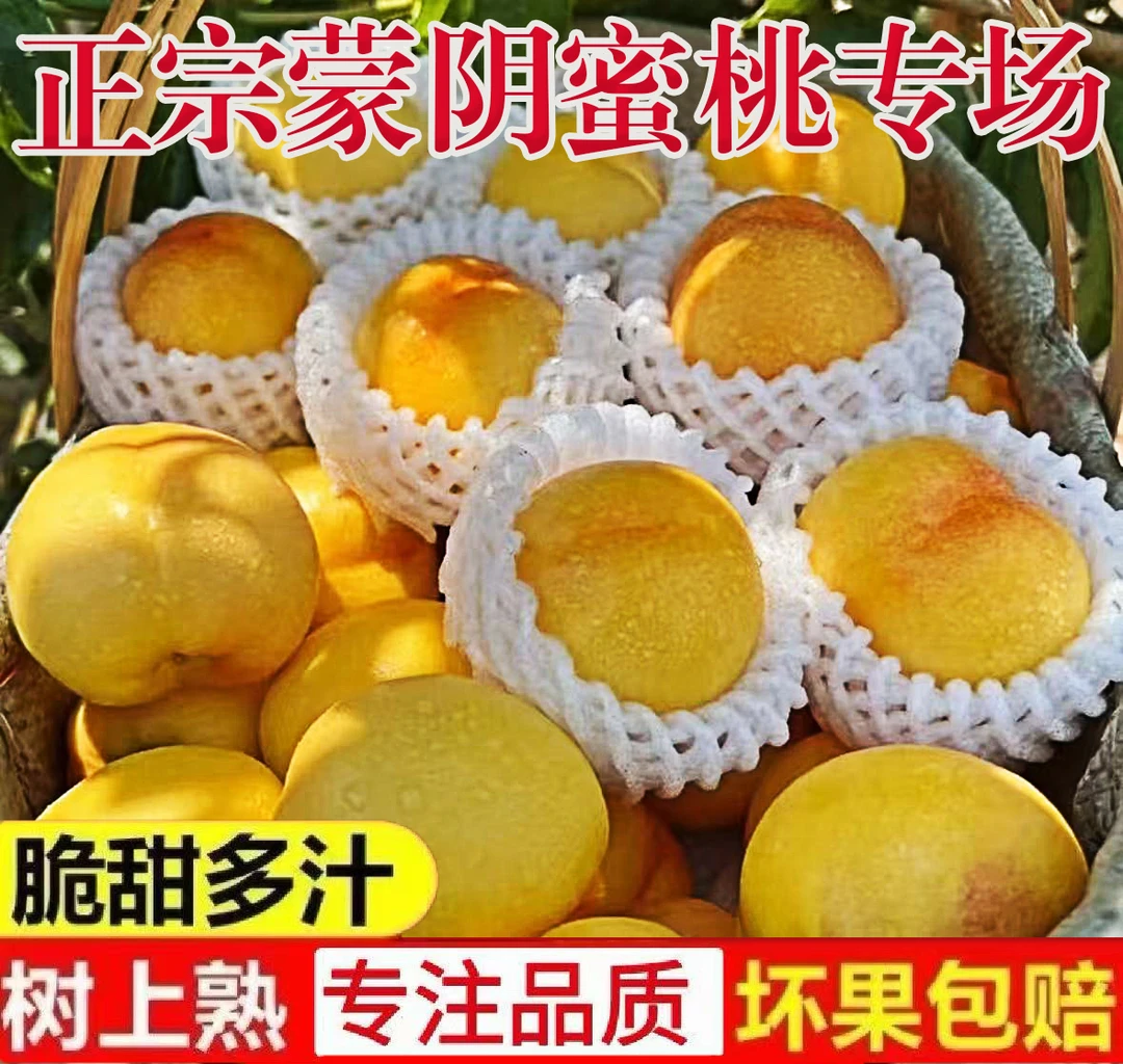 山东蒙阴芒果油桃，不用膨大剂甜蜜素，自然成熟，脆甜爽口，果园直发