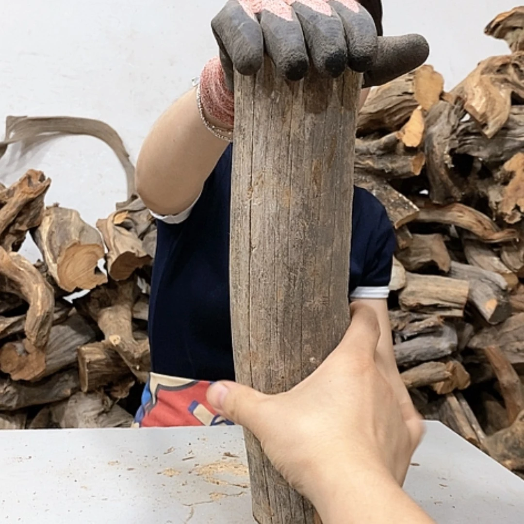 【闪购商品】柏木滔***坊我们都是好孩子呀