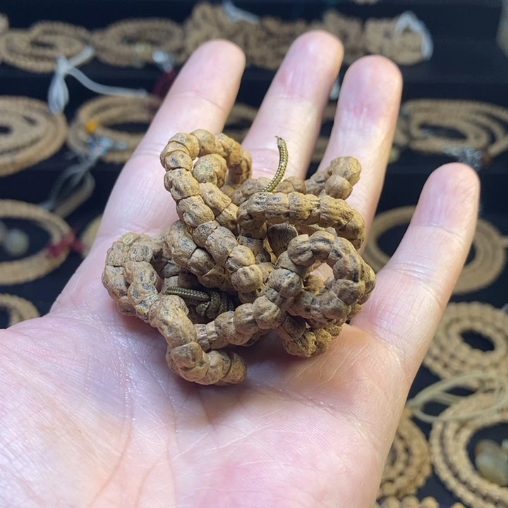 柏木其他大角度几何微脏百香籽大肠