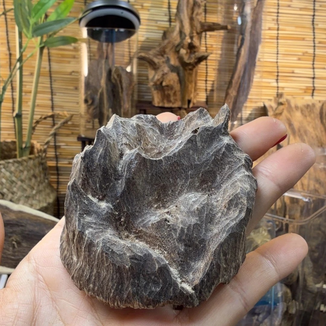 沉香沉香碎屑沉香铁头8g
