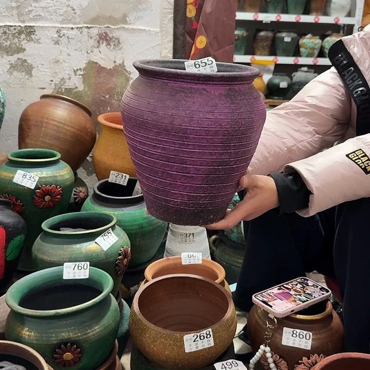 紫色655高度24口径18