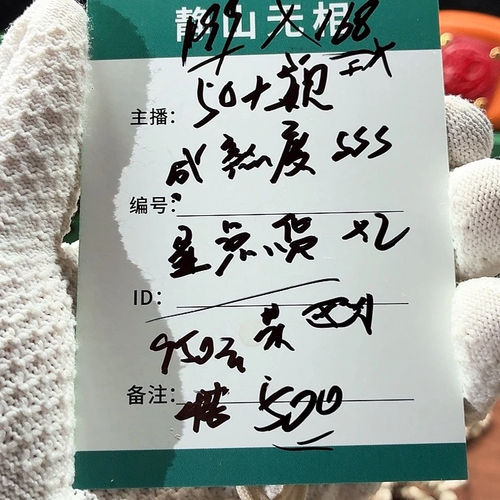 吊坠星月菩提Y 斜切手持