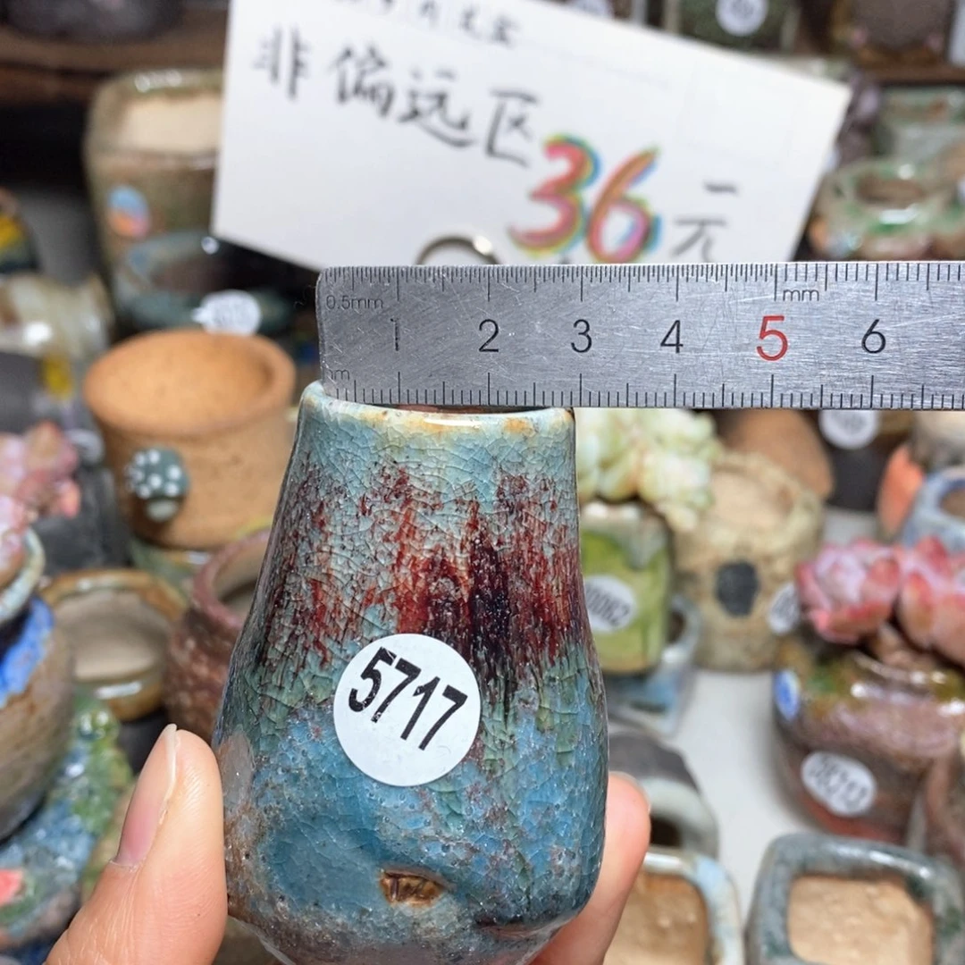 花盆拍5送一个小礼物