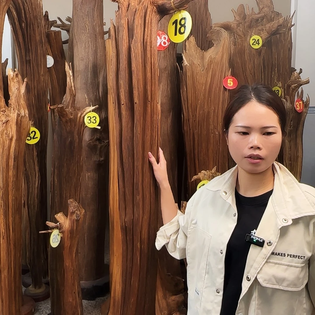 摆件沉香天然沉香原木原材料