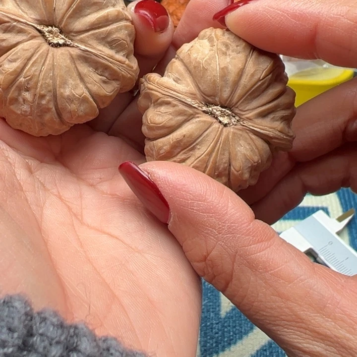 桃核吊坠文玩南瓜吨