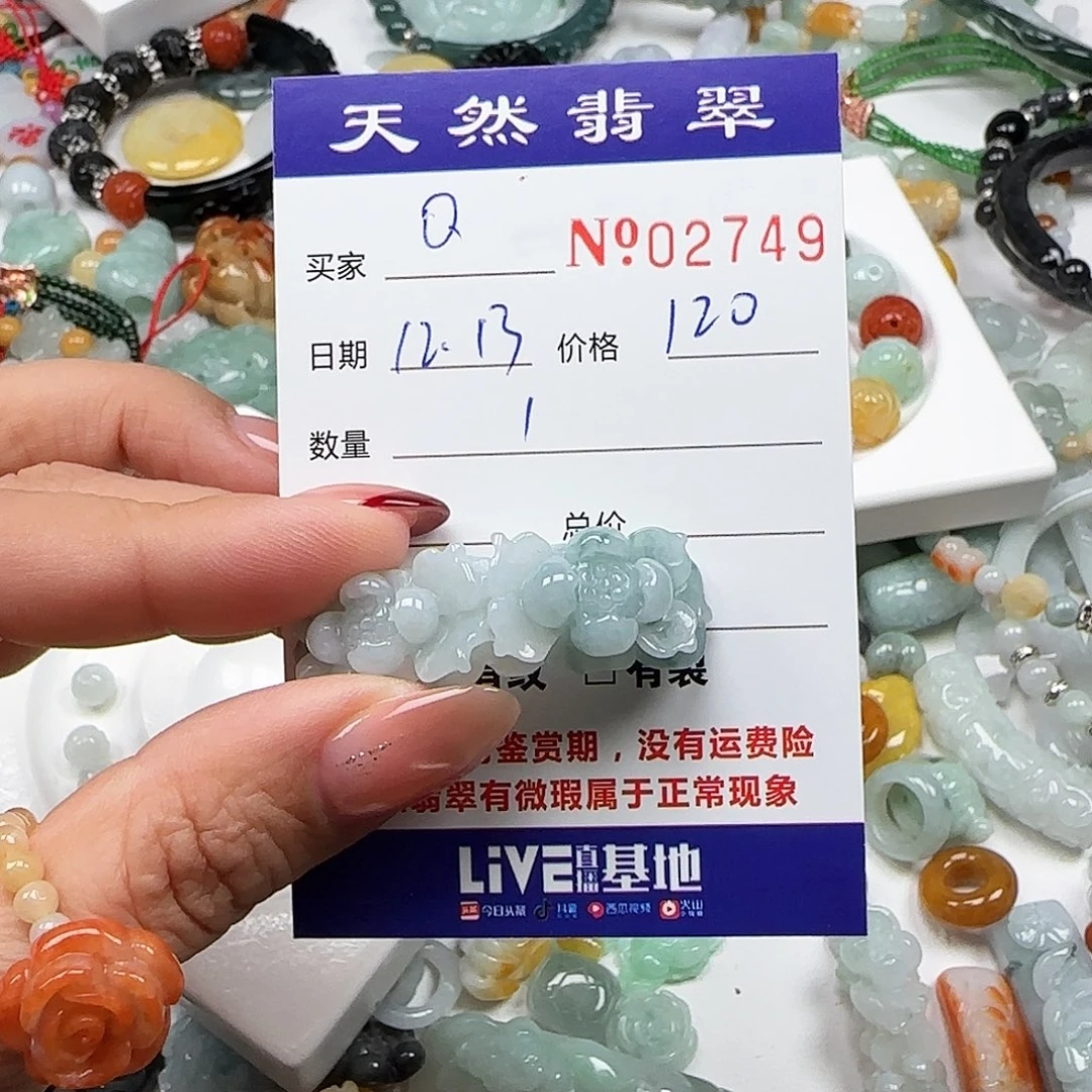Q***Q翡翠未镶嵌颈饰555