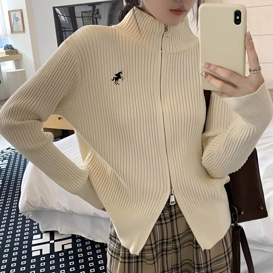 小众刺绣坑条立领毛衣外套女冬季设计感双拉链针织衫休闲开衫上衣