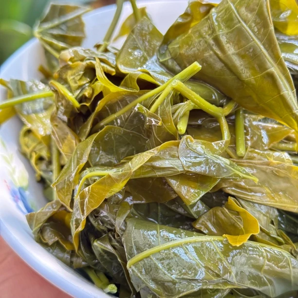 云南保山 大树酸腌菜 酸辣带点青苦的口感 一瓶一斤二 施甸姚关