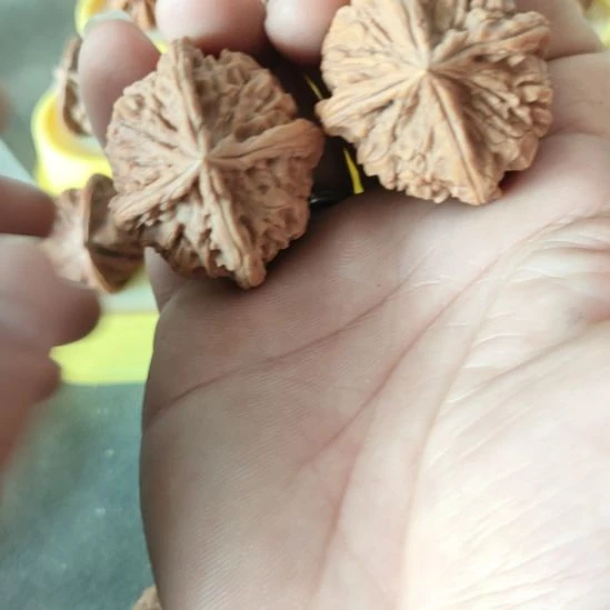 胡桃木玉玺四棱核桃